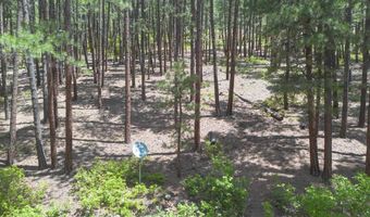 265 Pine Valley Rd, Bayfield, CO 81122