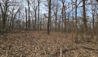 65 Acres Plainview Rd, Anderson, MO 64831