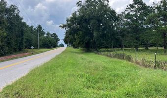 TBD County Road 40, Abbeville, AL 36310