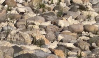 1 Wreck Rd, Alpena, MI 49707