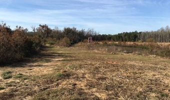 10664 Burton's Ferry Rd, Allendale, SC 29810