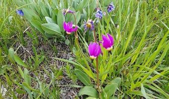 44 Spires, Belfry, MT 59008