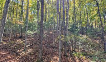 345 Christa Ln, Arden, NC 28704