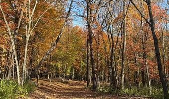 999 Porcupine Trl, Aitkin, MN 56431