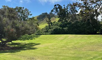 65-1330 LIHIPALI Rd 3, Kamuela, HI 96743