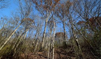 0 State Route 550, Amesville, OH 45711