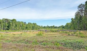 McCall's Millpond Rd, Bennettsville, SC 29512