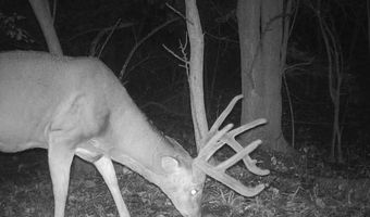 0000 E 1100 Rd, Baldwin City, KS 66006