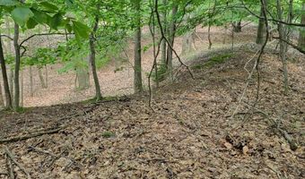 Maxey Road unit 7.2 Acres 7.2 Acres, Arcadia, MI 49613