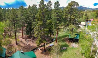412 Highway 7 Business, Allenspark, CO 80510