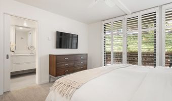 800 E Hopkins Ave A-3, Aspen, CO 81611