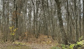 1353 State 371 NW, Backus, MN 56435