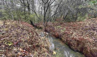 ELLY RD lot 50 81, Aroda, VA 22709