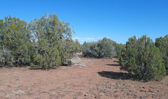 24 County Road 8063, Concho, AZ 85924
