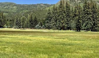 156 Forest Ln, Bayfield, CO 81122