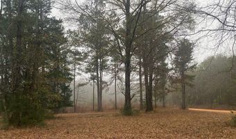 510 Wallace Ct, Autaugaville, AL 36003
