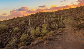42000 N Fleming Springs Rd P, Cave Creek, AZ 85331