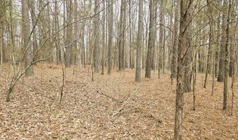 Zig Zag, Big Sandy, TN 38221