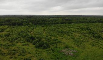 Lot 6 Rains County Rd 2610, Alba, TX 75410