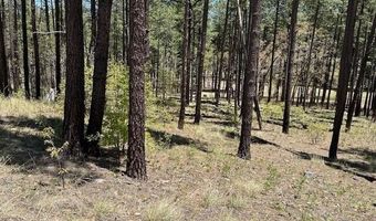 N2122, Alpine, AZ 85920