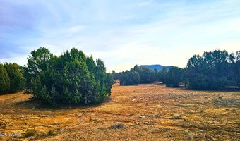55 N Country Club Dr, Concho, AZ 85924