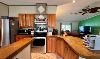 56233 WATER OAK Rd, Astor, FL 32102