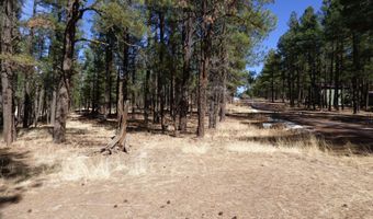 8 B County Road 2267 Escudilla Rd, Alpine, AZ 85920