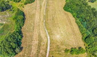 157 Buttercup Ln, Ararat, NC 27007