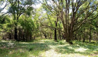 15422 SW 50TH Ave, Archer, FL 32618