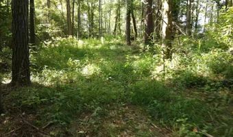 Tbd Bahalia Rd, Brookhaven, MS 39601