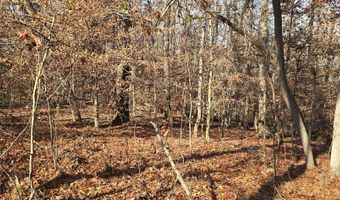 00001 Hwy 369, Ball Ground, GA 30107