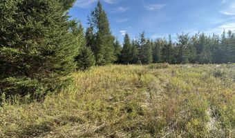 5280 Cathro Rd, Alpena, MI 49707