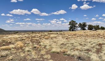 425 N 8051, Concho, AZ 85924