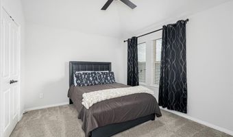 1117 Birdsong Trl, Anna, TX 75409