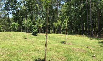 160 Slytown Rd, Amity, AR 71921
