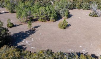County Road 236 lot 2, Bell, FL 32619
