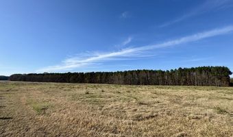 00002 Johnson Line Rd, Bolton, MS 39041