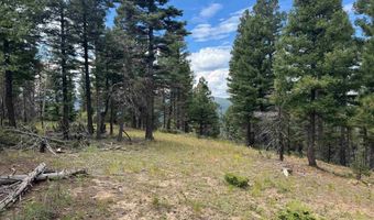 Lot 310 S Vail Overlook, Angel Fire, NM 87710