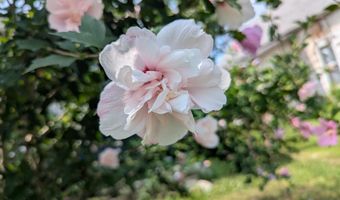 18 W Delta St, Aurora, MO 65605