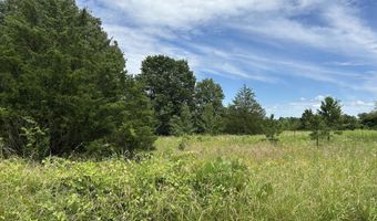 676 County Road 403, Alton, MO 65606