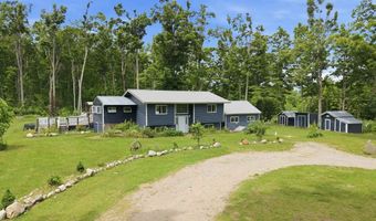 7028 Barney Rd, Alanson, MI 49706