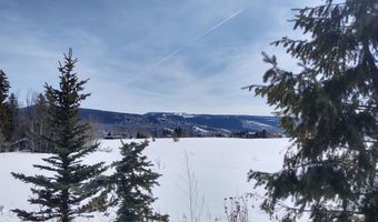 445 TARGHEE TOWNE Rd, Alta, WY 83414