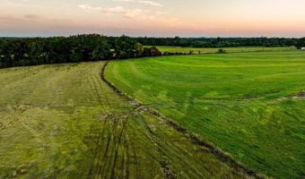 100 Acres Harmony Church Rd, Andalusia, AL 36421