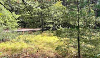 NH Route 3, Bridgewater, NH 03222