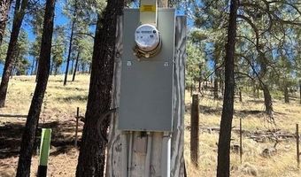 450 County Road 2104, Alpine, AZ 85920