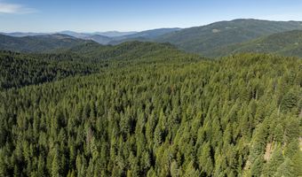 Hungry Ridge, Ashland, OR 97520