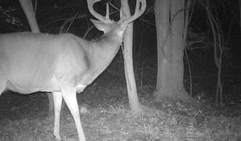 0000 E 1100 Rd, Baldwin City, KS 66006