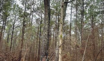 Lot 4 Great Falls Highway, Chester, SC 29706