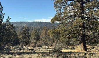 Canvasback Drive, Bonanza, OR 97623