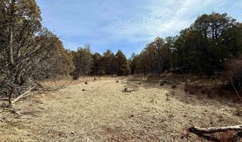 11 Camino De Adelaida Los Pinos Park, Arroyo Seco, NM 87514